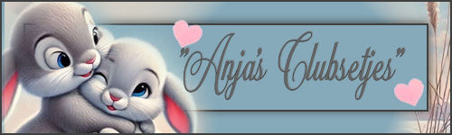 2026+Konijn+02++ban…