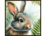 2026 Herfst 05-avatar.jpg